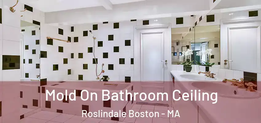 Mold On Bathroom Ceiling Roslindale Boston - MA