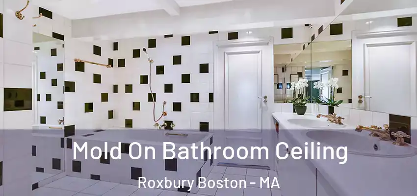  Mold On Bathroom Ceiling Roxbury Boston - MA