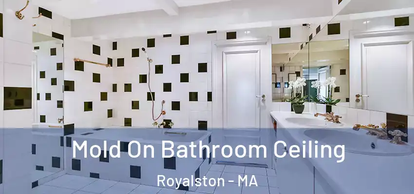 Mold On Bathroom Ceiling Royalston - MA