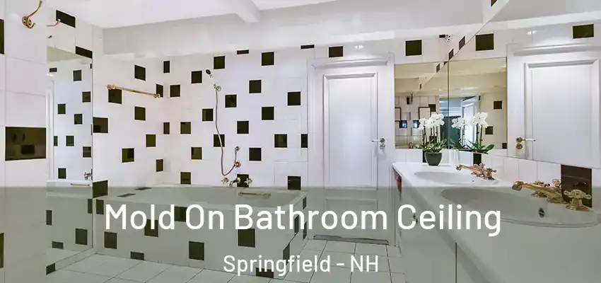 Mold On Bathroom Ceiling Springfield - NH