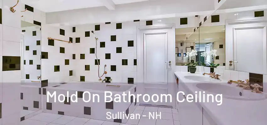Mold On Bathroom Ceiling Sullivan - NH