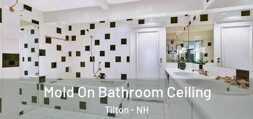 Mold On Bathroom Ceiling Tilton - NH