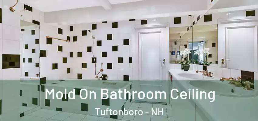  Mold On Bathroom Ceiling Tuftonboro - NH