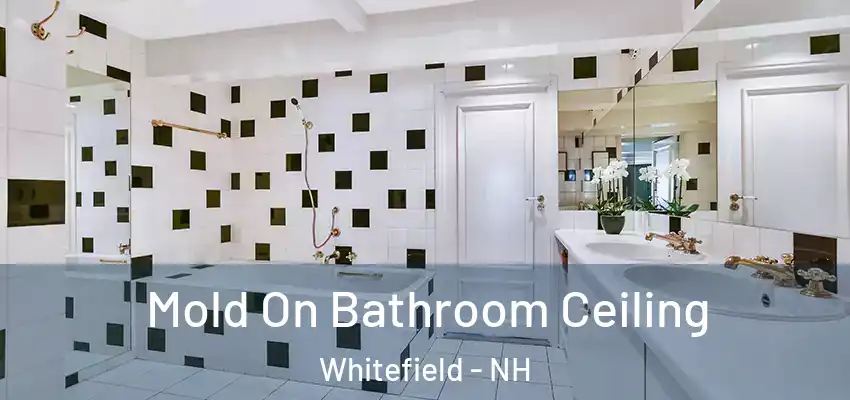 Mold On Bathroom Ceiling Whitefield - NH