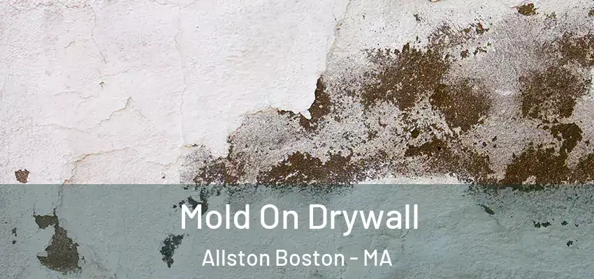  Mold On Drywall Allston Boston - MA