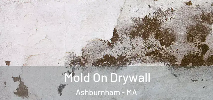  Mold On Drywall Ashburnham - MA