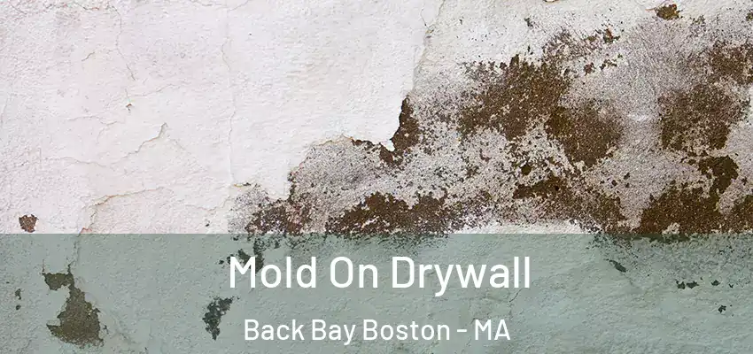  Mold On Drywall Back Bay Boston - MA