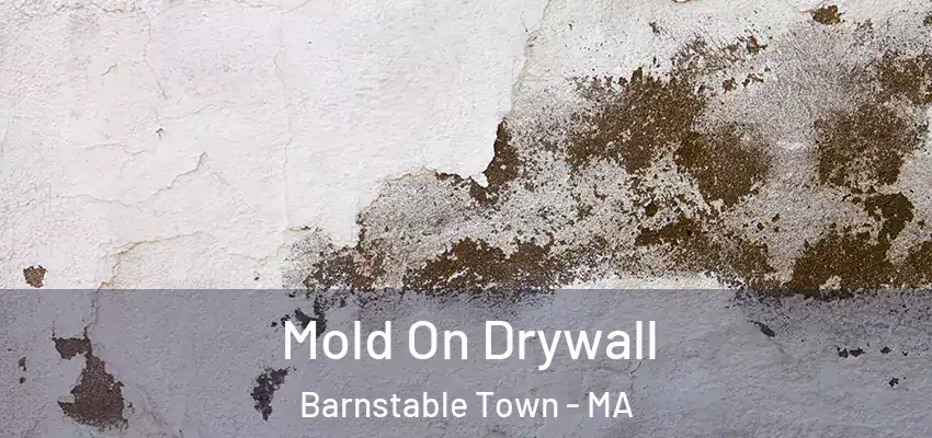  Mold On Drywall Barnstable Town - MA