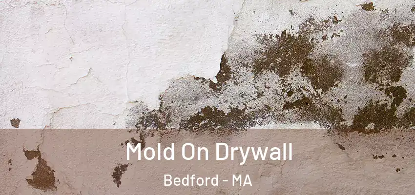 Mold On Drywall Bedford - MA