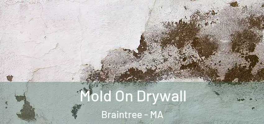 Mold On Drywall Braintree - MA