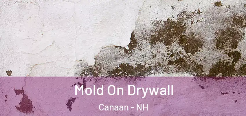  Mold On Drywall Canaan - NH