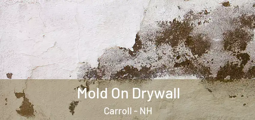 Mold On Drywall Carroll - NH