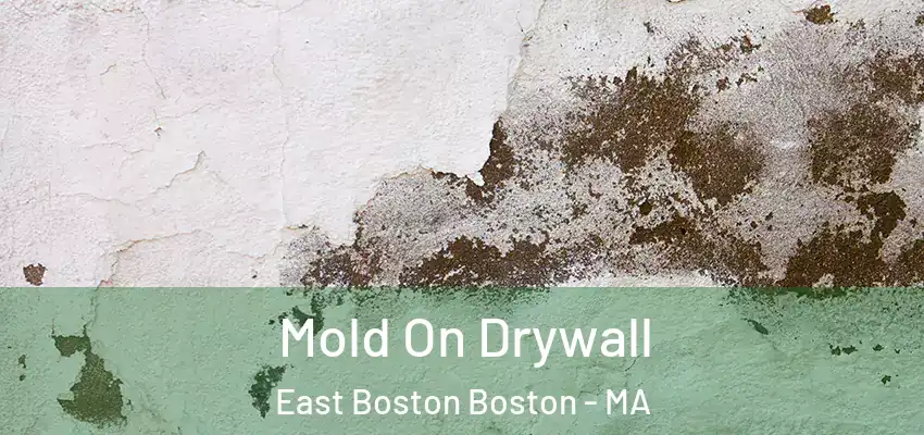 Mold On Drywall East Boston Boston - MA