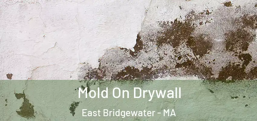 Mold On Drywall East Bridgewater - MA