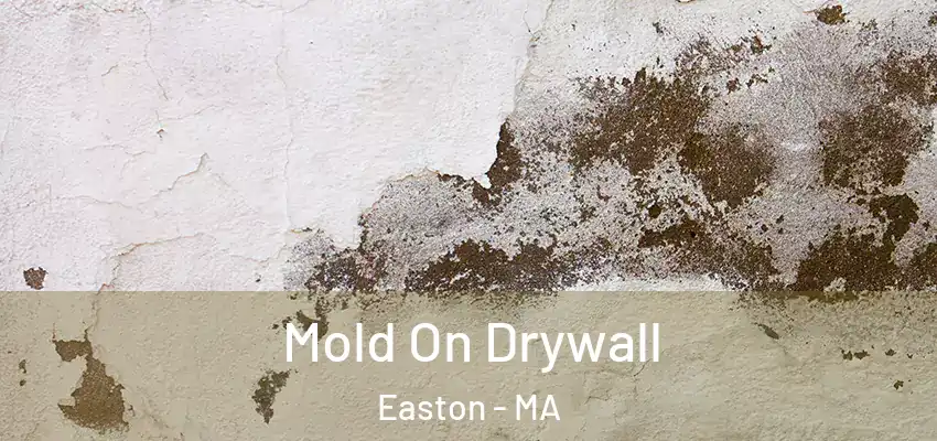 Mold On Drywall Easton - MA
