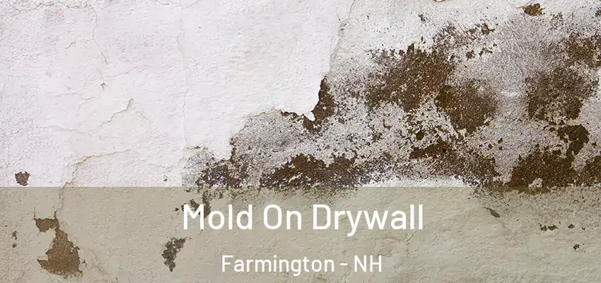  Mold On Drywall Farmington - NH