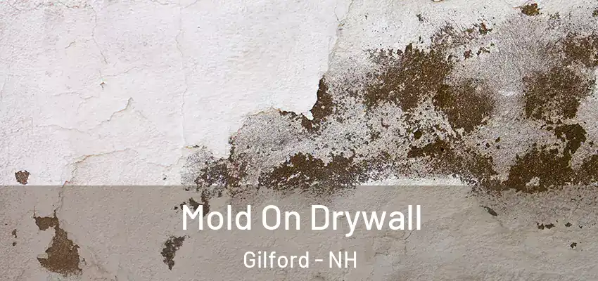  Mold On Drywall Gilford - NH