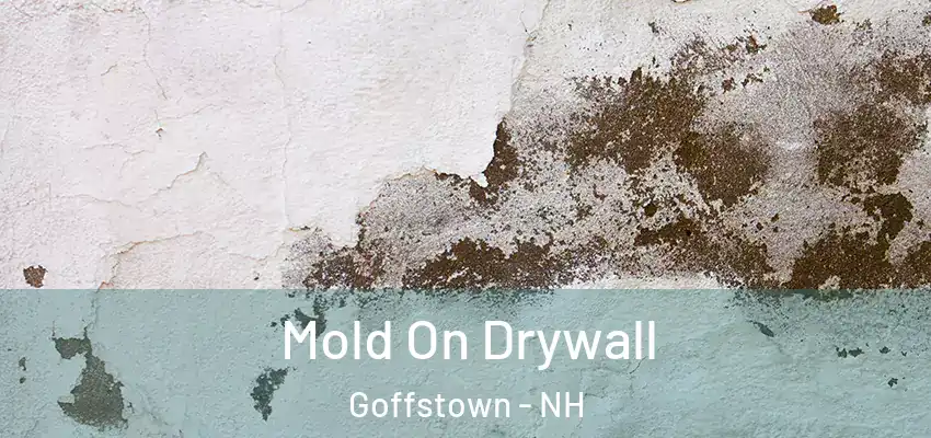  Mold On Drywall Goffstown - NH