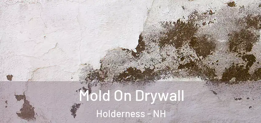 Mold On Drywall Holderness - NH