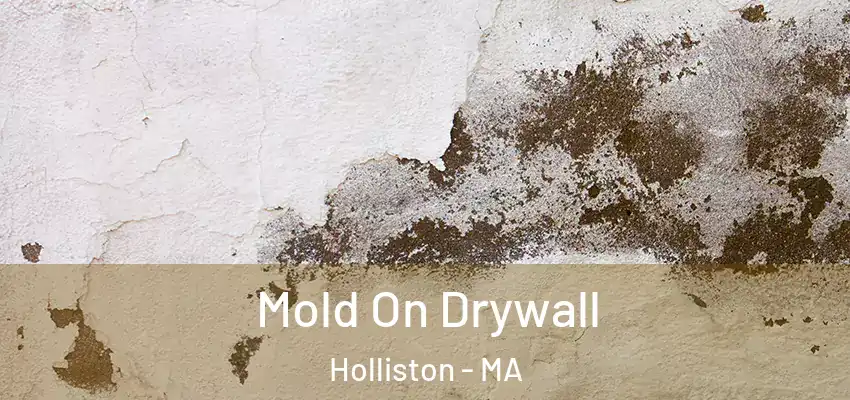 Mold On Drywall Holliston - MA