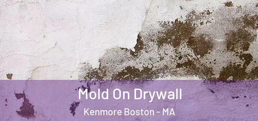 Mold On Drywall Kenmore Boston - MA