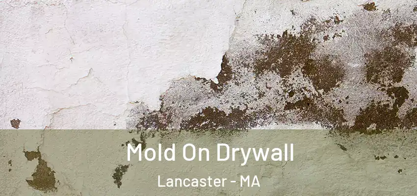 Mold On Drywall Lancaster - MA
