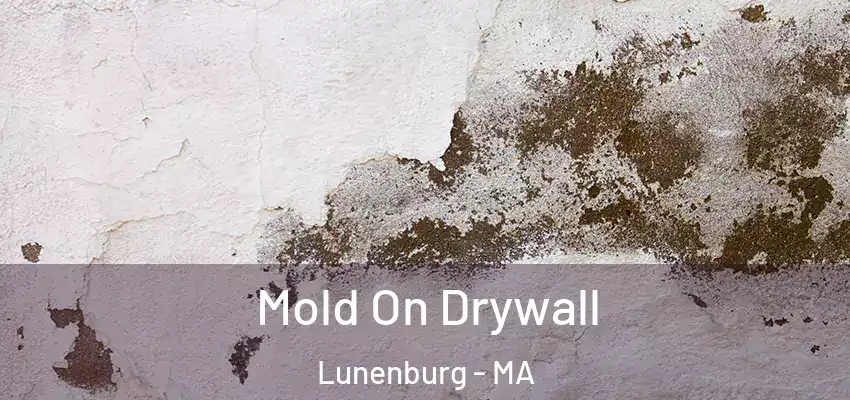 Mold On Drywall Lunenburg - MA