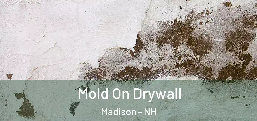 Mold On Drywall Madison - NH