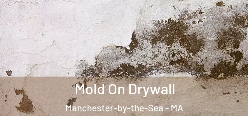 Mold On Drywall Manchester-by-the-Sea - MA