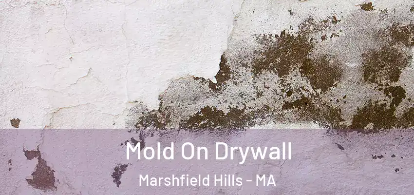 Mold On Drywall Marshfield Hills - MA