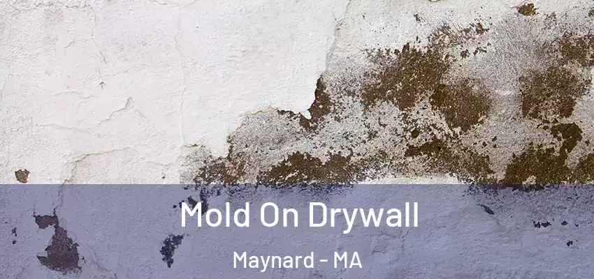 Mold On Drywall Maynard - MA