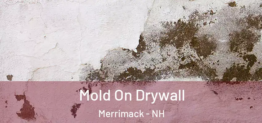  Mold On Drywall Merrimack - NH