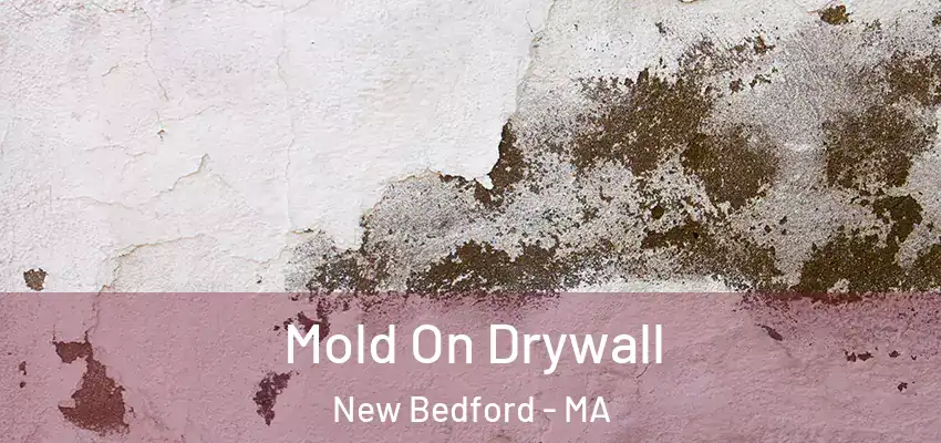  Mold On Drywall New Bedford - MA