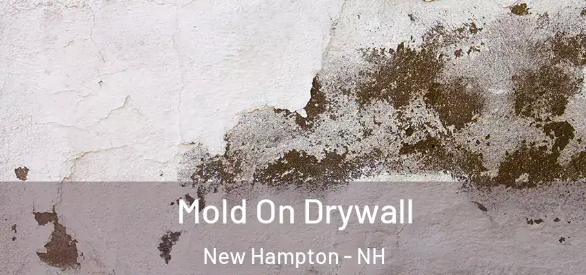 Mold On Drywall New Hampton - NH