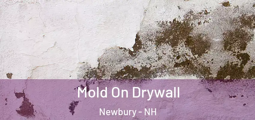 Mold On Drywall Newbury - NH