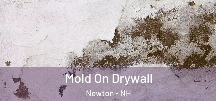 Mold On Drywall Newton - NH