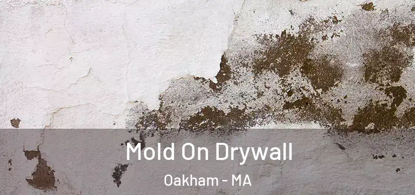 Mold On Drywall Oakham - MA