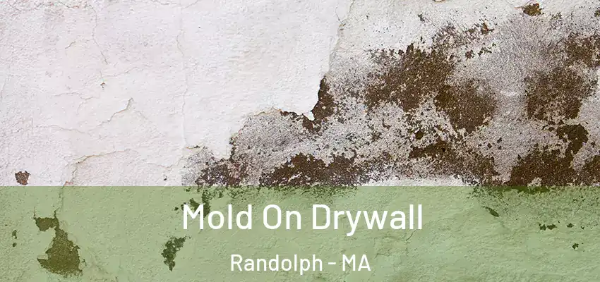 Mold On Drywall Randolph - MA