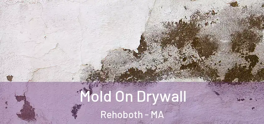 Mold On Drywall Rehoboth - MA