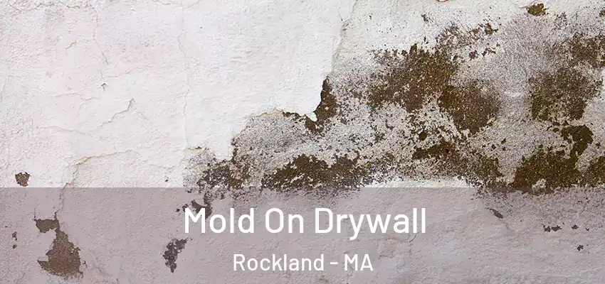 Mold On Drywall Rockland - MA