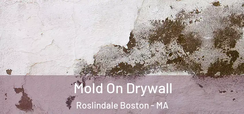  Mold On Drywall Roslindale Boston - MA
