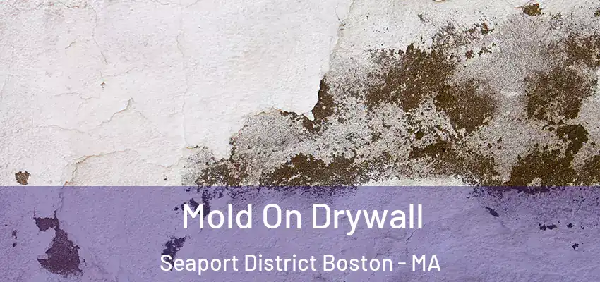  Mold On Drywall Seaport District Boston - MA