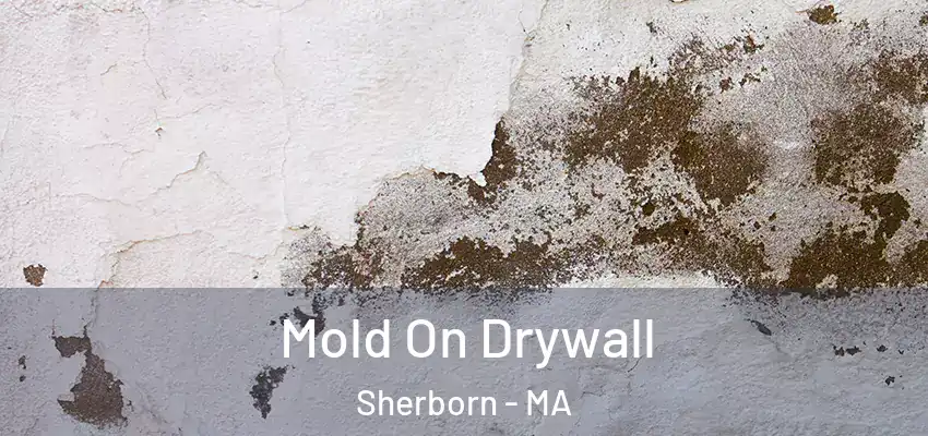 Mold On Drywall Sherborn - MA
