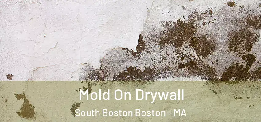 Mold On Drywall South Boston Boston - MA