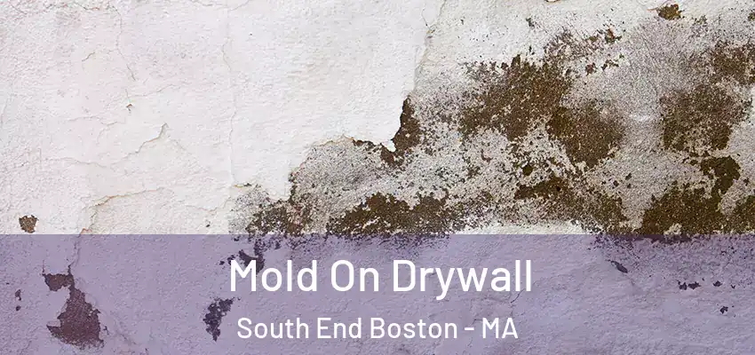  Mold On Drywall South End Boston - MA