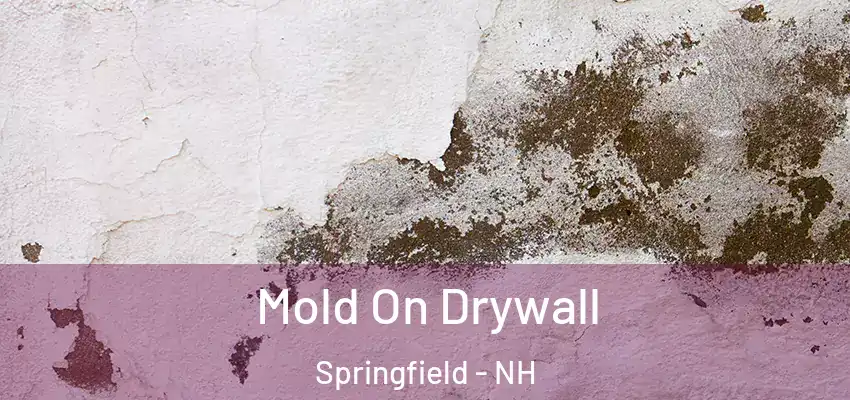 Mold On Drywall Springfield - NH