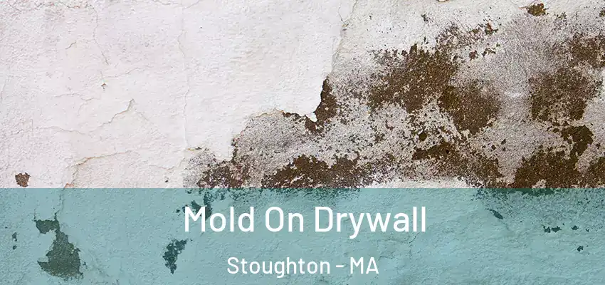  Mold On Drywall Stoughton - MA