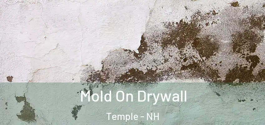 Mold On Drywall Temple - NH