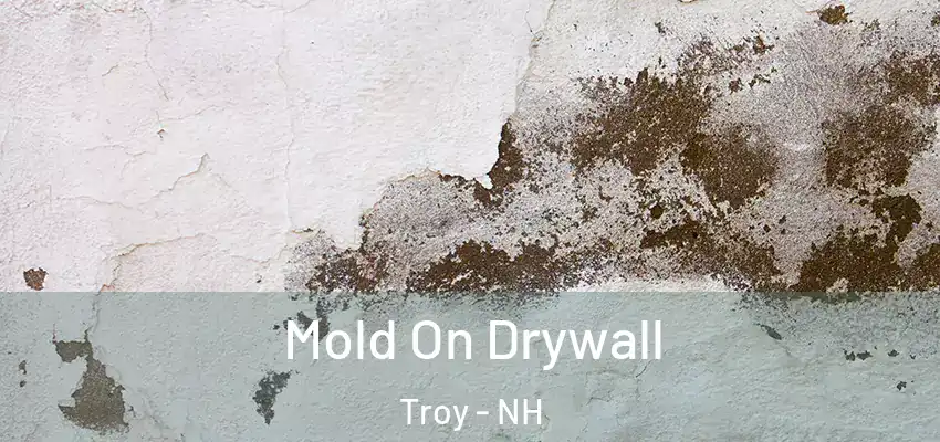 Mold On Drywall Troy - NH