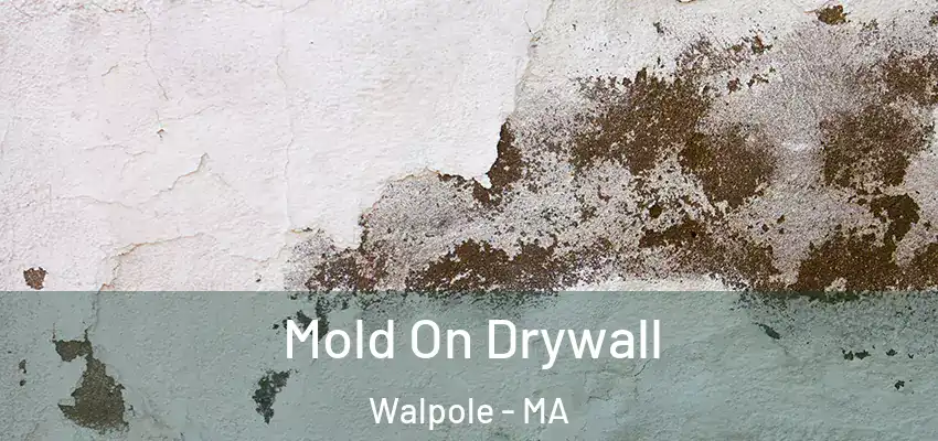 Mold On Drywall Walpole - MA